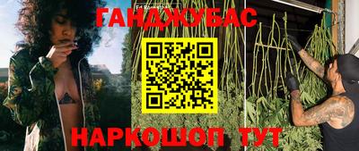 прущие крисы Будённовск