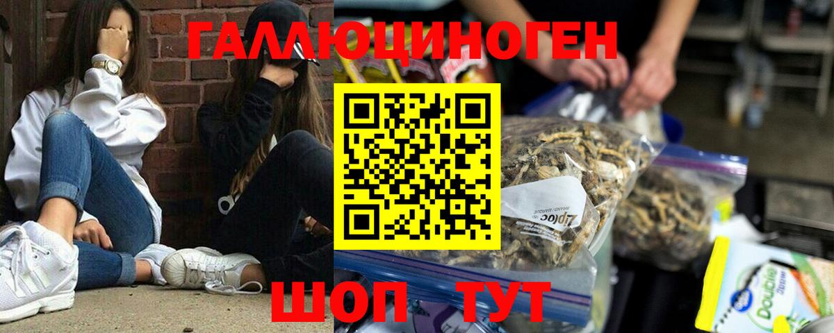 Красный Сулин  Псилоцибиновые грибы Psilocybine cubensis  Галлюциногенные грибы Magic Shrooms  Вход с VPN 